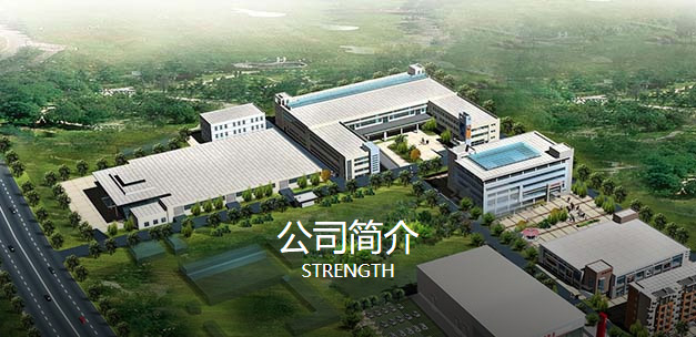 公司簡介
